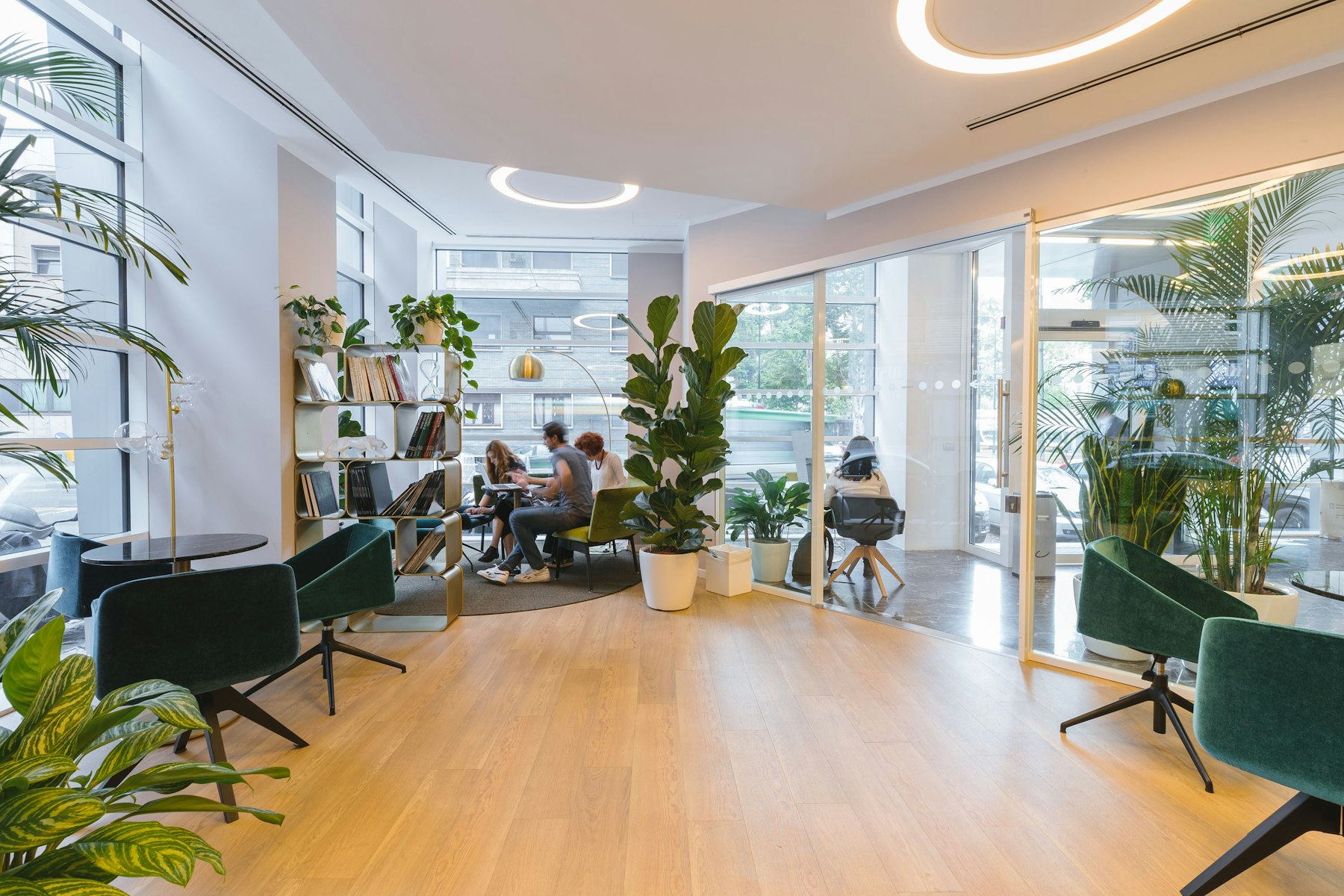 Sunlit meeting room with a long table